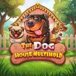 The Dog House Multihold game at Mr Vegas Casino for United Kingdom players